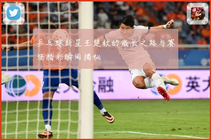 乒乓球新星王楚钦的成长之路与赛场精彩瞬间揭秘